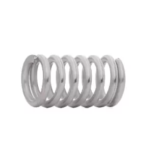 Image of FA1 Spring, silencer BMW,FIAT,PEUGEOT 105-902 18300391795,171836,2869702000 0079939301,0089933201,A0079939301,A0089933201,18307790610,1575A012,171836