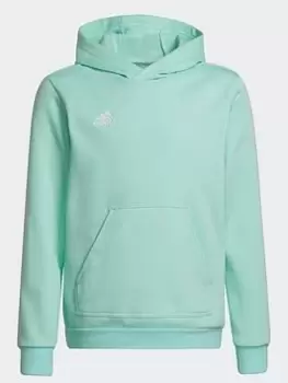 Image of Boys, adidas Entrada 22 Sweat Hoodie, Light Green, Size 11-12 Years