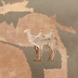 Image of Corsano, Maranha & Richard Youngs &ndash; Corsano, Maranha & Youngs Vinyl