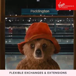 Image of Paddington Bear Walking Tour for Two