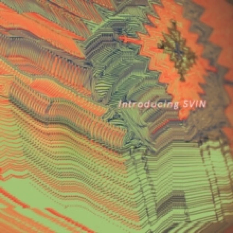 Image of Introducing SVIN Vinyl