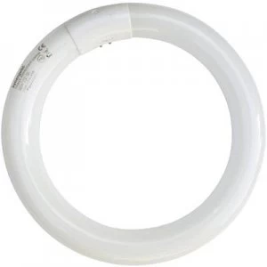 Image of UV ring light Synergetic UVA 22W round TGX22 UV fly trap Base G10q
