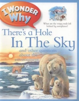 Image of I Wonder Why Theres a Hole in the Sky and Other Questions about the Environment by Jackie Gaff Paperback