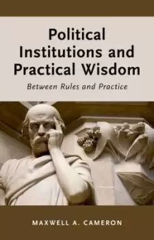 Image of Political institutions and practical wisdom by Maxwell A Cameron
