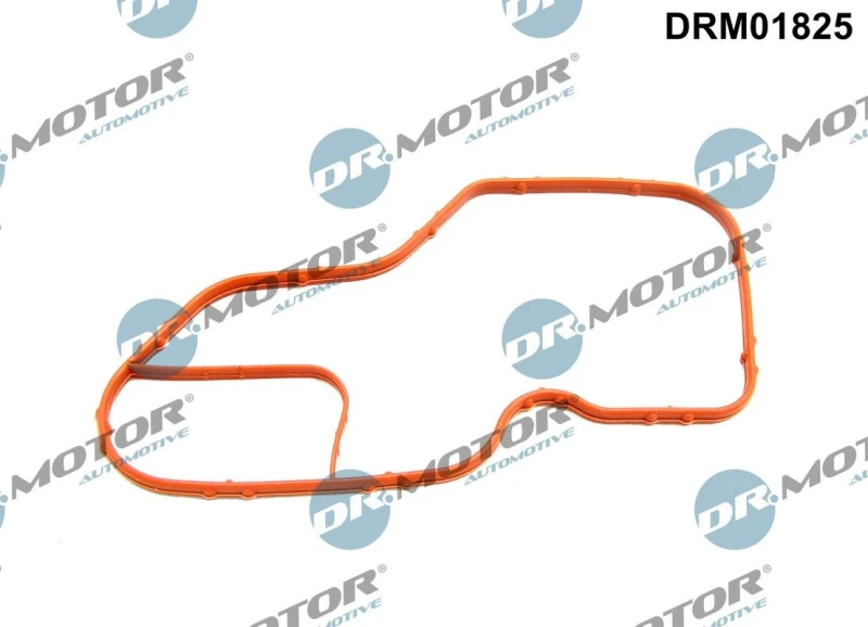 Image of DR.MOTOR AUTOMOTIVE Thermostat housing gasket DR.MOTOR AUTOMOTIVE DRM01825