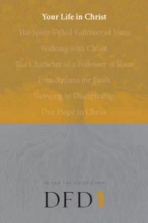 Image of Your Life in Christ by NavPress