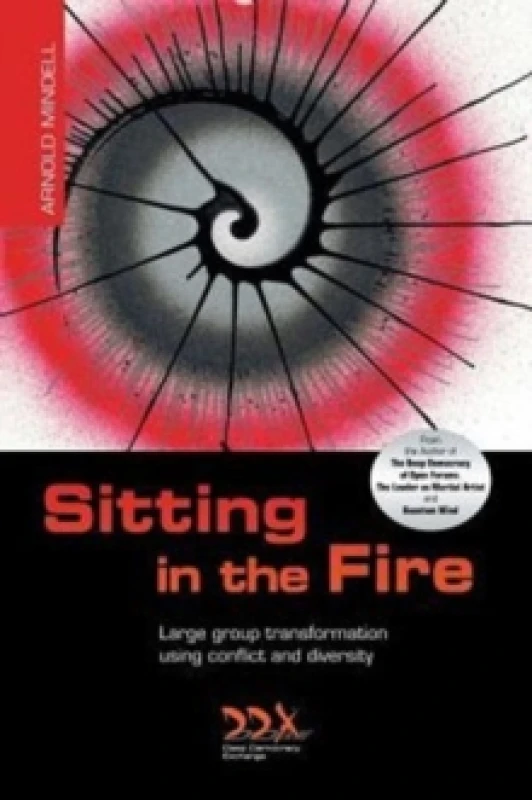 Image of Sitting in the Fire by Arnold Mindell Paperback