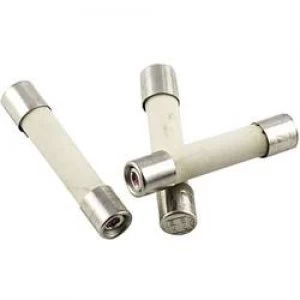 Image of Micro fuse x L 5mm x 25mm 1.6 A 250 V quick response F