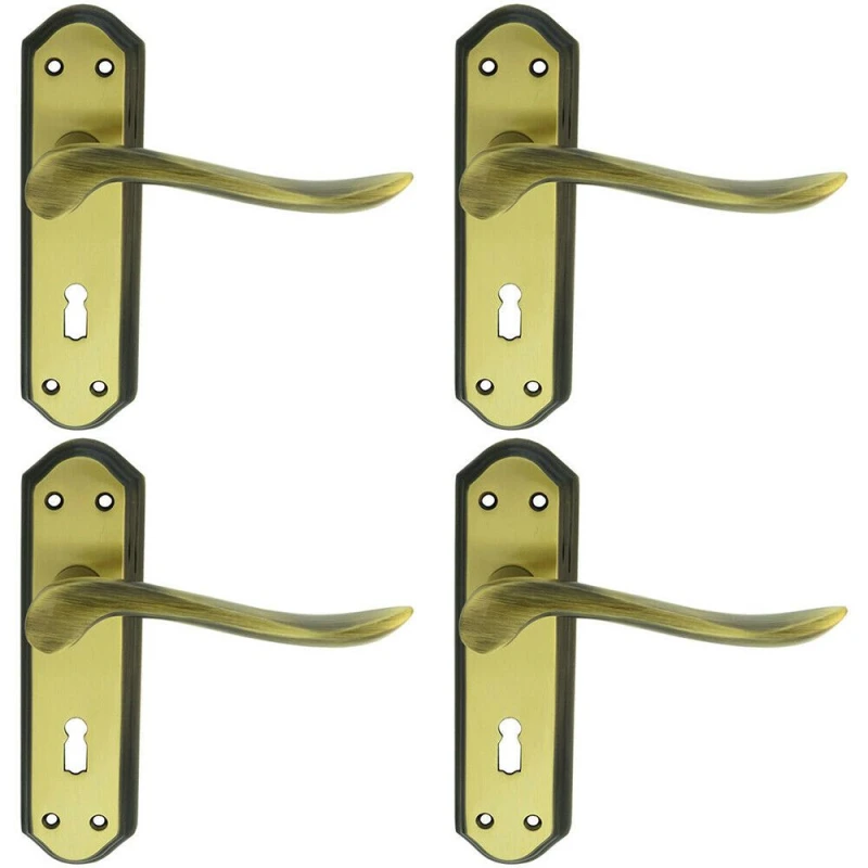 Image of Loops 4x PAIR Curved Handle on Sculpted Lock Backplate 180 x 48mm Florentine Bronze Multi