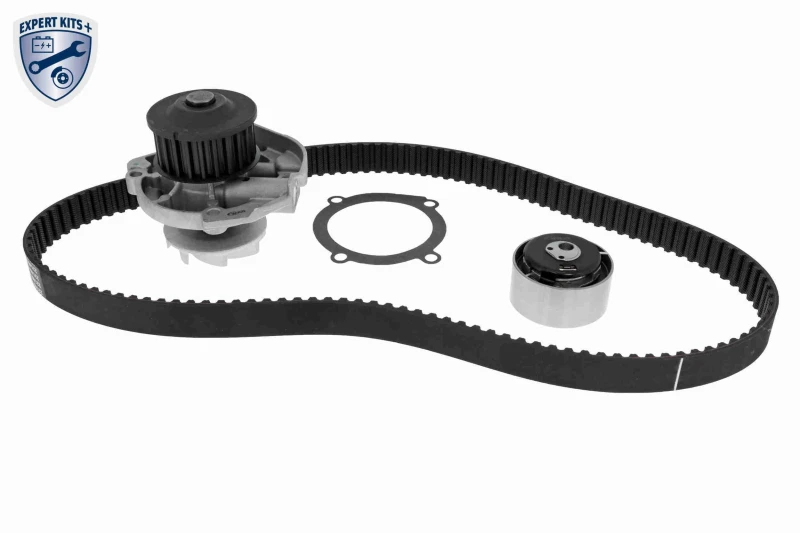Image of VAICO Water pump and timing belt kit VAICO V24-50022