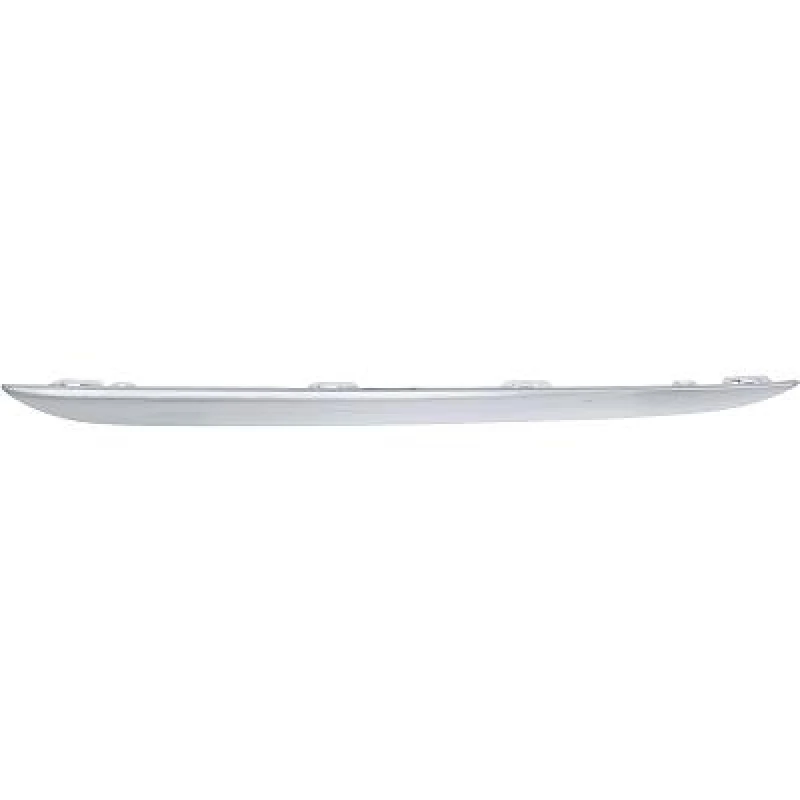 Image of Bumper moulding DIEDERICHS 1673067