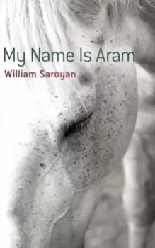 Image of My Name Is Aram