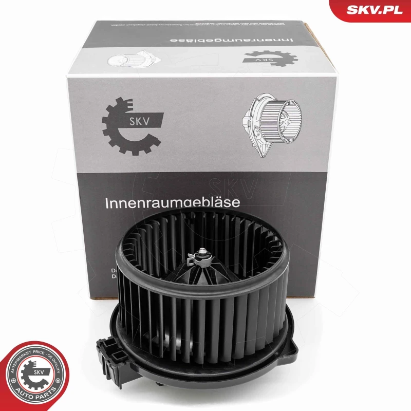 Image of ESEN SKV Blower motor ESEN SKV 68SKV195