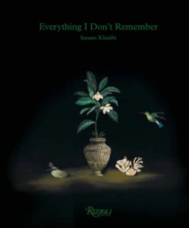 Image of Sanam Khatibi : Everything I Don't Remember Hardback
