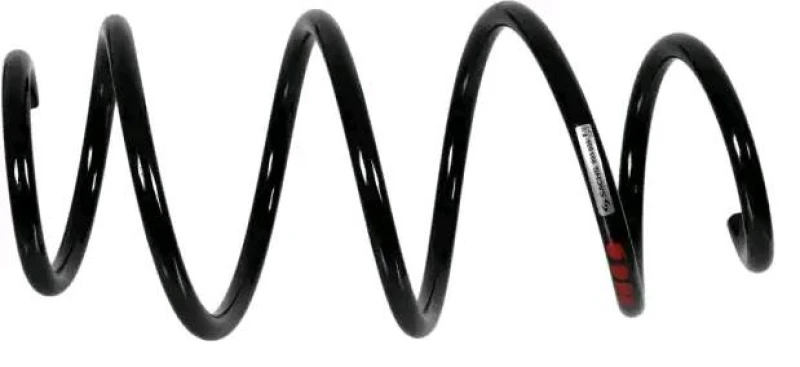 Image of Coil spring SACHS 993 669