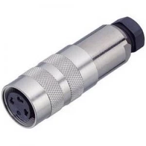 Image of Binder 99 5122 15 06 99 5122 15 06 Series 423 Miniature Circular Connector Nominal current details 6 A Number of pins