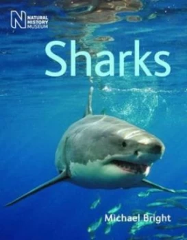 Image of Sharks by Michael Bright Book