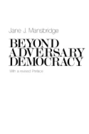 Image of beyond adversary democracy