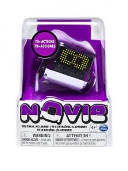 Image of Boxer Novie Purple