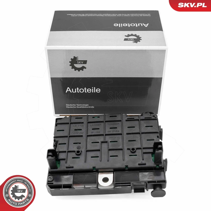 Image of ESEN SKV Control Unit, engine management ESEN SKV 96SKV321