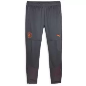 Puma Manchester City Training Bottoms 2023 2024 Adults - Grey