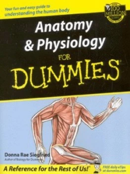 Image of Anatomy and Physiology for Dummies by Donna Rae Siegfried Paperback