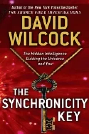 Image of synchronicity key the hidden intelligence guiding the universe and you