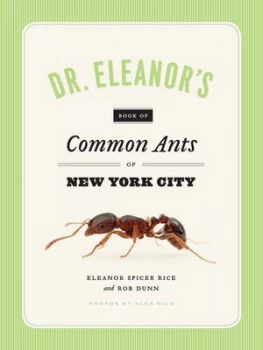Image of Dr. Eleanors Book of Common Ants of New York City by Eleanor Spicer Rice Book