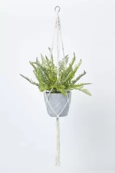 Image of Green Fern Hanging Plant, 95 cm