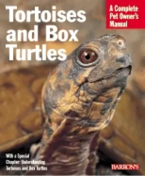 Image of tortoises and box turtles