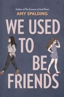 Image of We Used to Be Friends