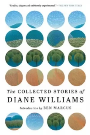 Image of The Collected Stories Of Diane Williams by Diane Williams