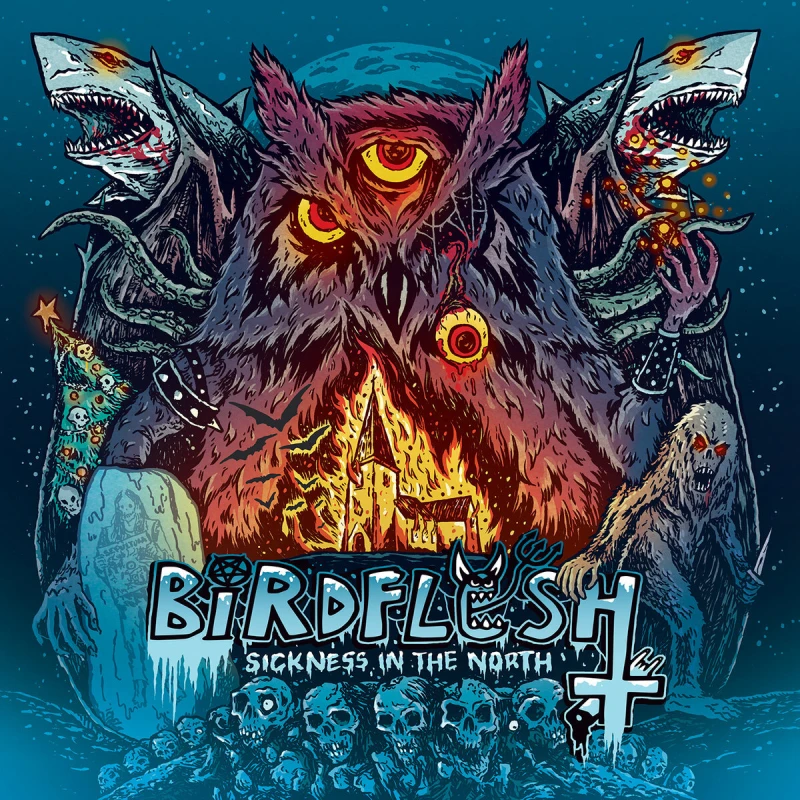 Image of Sickness in the North Vinyl