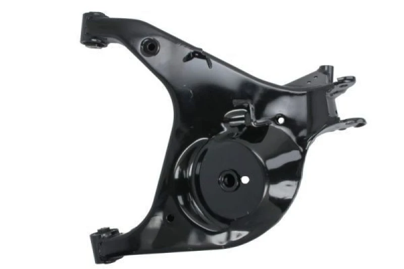 Image of REINHOCH Suspension arm REINHOCH RH05-5016