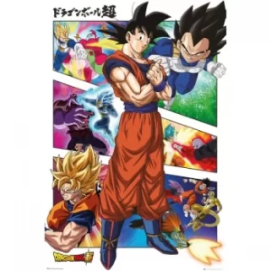 Dragonball Super Panels Poster