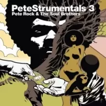 Image of PeteStrumentals 3