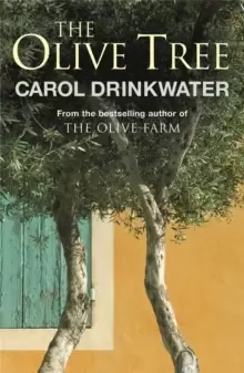 Image of The Olive Tree of Provence