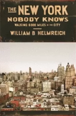 Image of new york nobody knows walking 6 000 miles in the city