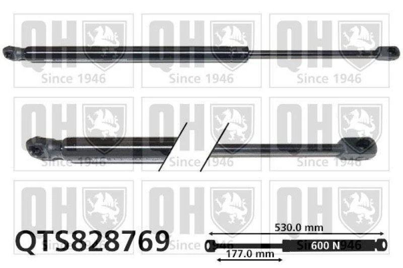 Image of QUINTON HAZELL Tailgate strut QUINTON HAZELL QTS828769