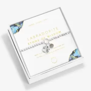Image of Spirit Stones Labradorite Silver 17.5cm Stretch Bracelet 6351