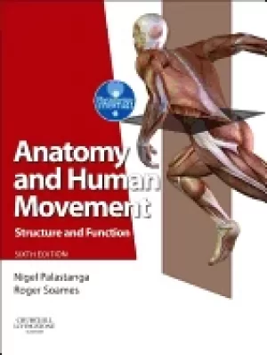 Image of anatomy and human movement structure and function