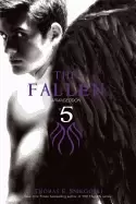 Image of fallen 5 armageddon