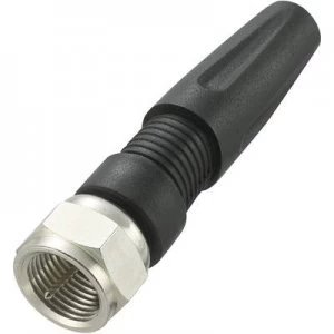 Image of F STECKER
