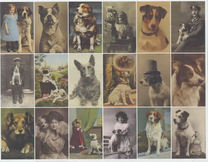 Image of Postcard Dogs by Libby Hall Hardback