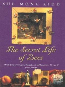 Image of The Secret Life of Bees by Sue Monk Kidd Hardback
