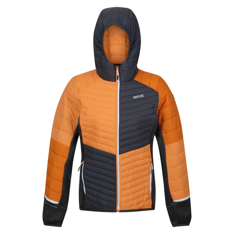 Image of Regatta Womens Quilted Weather-Resistant Insulated Puffer Jacket Burgnd/RmbRd female 8 (XS)