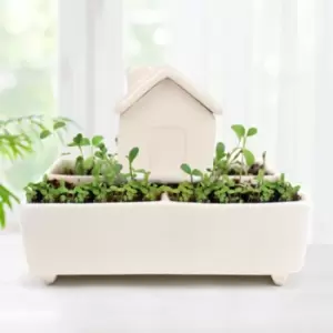 Image of Self Watering Herb House Grow Kit