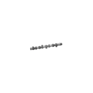 Image of Camshaft 10006 by Febi Bilstein