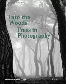 Image of Into the Woods: Trees in Photography