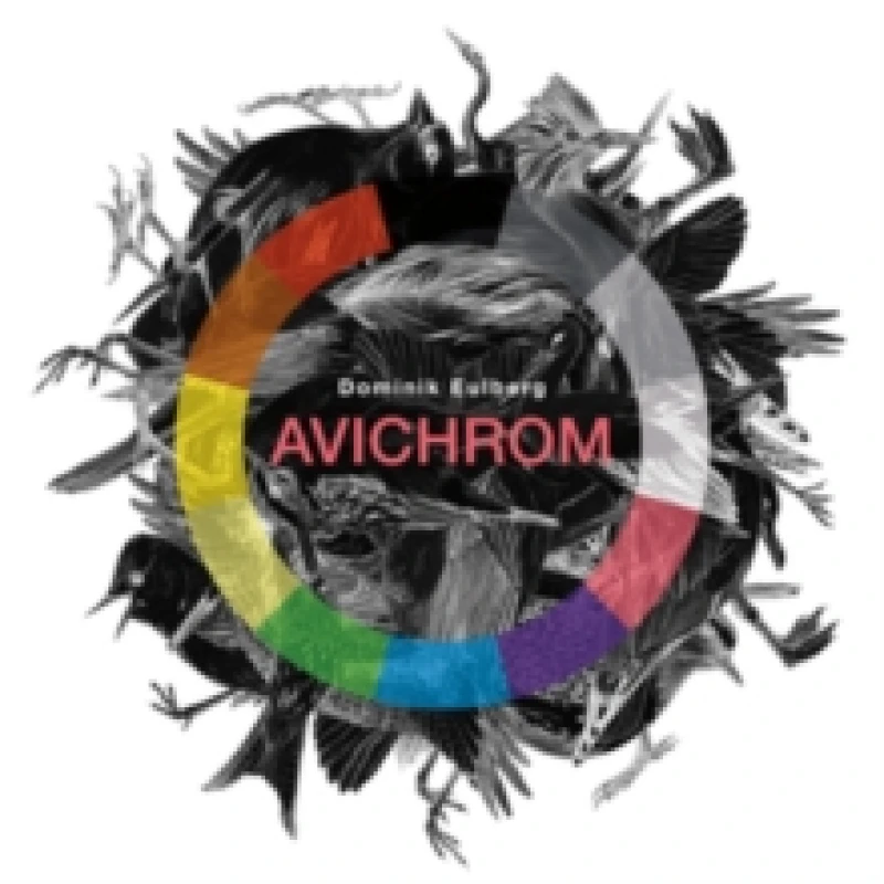 Image of Avichrom Vinyl
